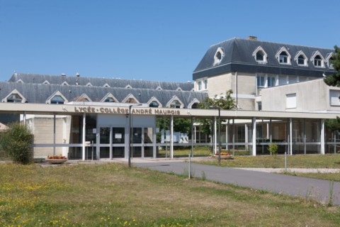 Cote Fleurie, Deauville