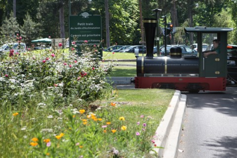 Jardin d'Acclimatation, Bois De Boulogne