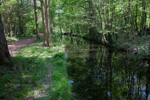 Bois De Vincennes, Allee