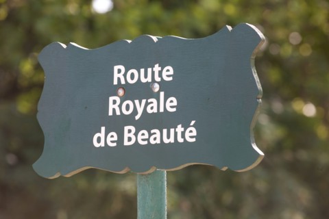 Bois De Vincennes, Indicator panel