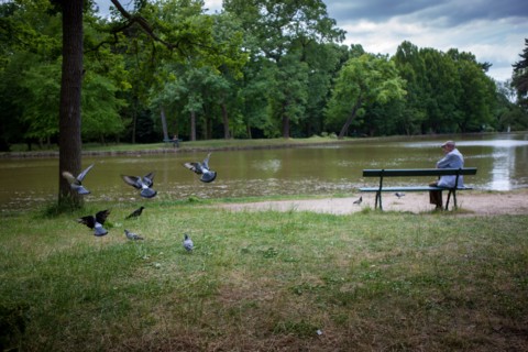 Bois De Boulogne,Etang Du Reservoir