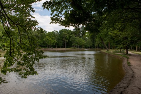 Bois De Boulogne,Etang Du Reservoir
