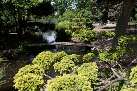 Jardin d'Acclimatation,