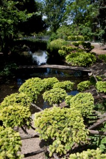 Jardin d'Acclimatation,