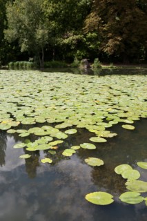 Domaine De Longchamp,Etang De Longchamp