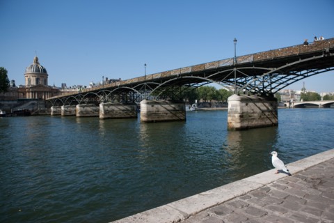 Quai Francois Mitterrand (Quai Des Tuileries) Berges de Seine, Pont Des Arts Et Institut de France, Quai De Conti En Face