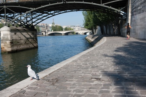 Quai Francois Mitterrand (Quai Des Tuileries) Berges de Seine, Pont Des Arts Et Institut de France, Quai De Conti En Face