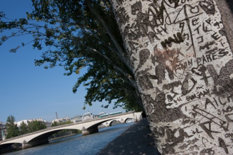 Quai Francois Mitterrand (Quai Des Tuileries) Berges de Seine, Arbre Grave De Messages D'Amour