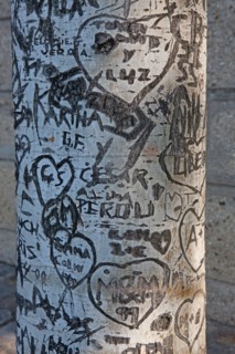 Quai Francois Mitterrand (Quai Des Tuileries) Berges de Seine, Arbre Grave De Messages D'Amour