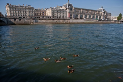 Quai Des Tuileries, Face Au Musée D'Orsay