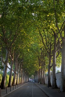 Rue Emile Richard, Cimetiere du Montparnasse
