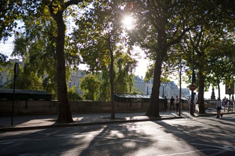 Quai De Gesvres, Seine