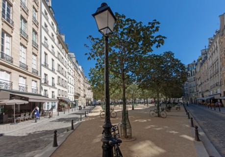 The Ile de la Cité in Paris