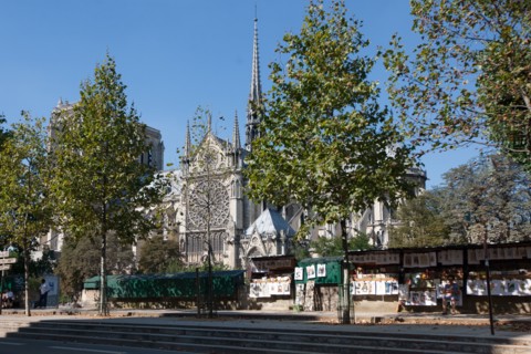 5e Arrondissement, Square Rene Viviani