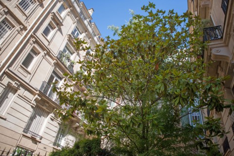 17e Arrondissement, 7 rue Edouard Detaille