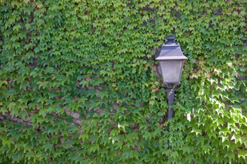 18e Arrondissement, Rue Saint Vincent