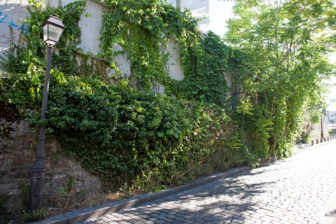 18e Arrondissement, Rue Saint Vincent