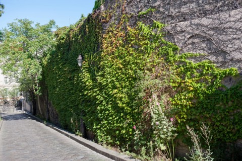 18th Arrondissement, Rue Saint Vincent