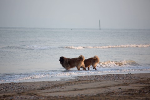Deauville hors saison