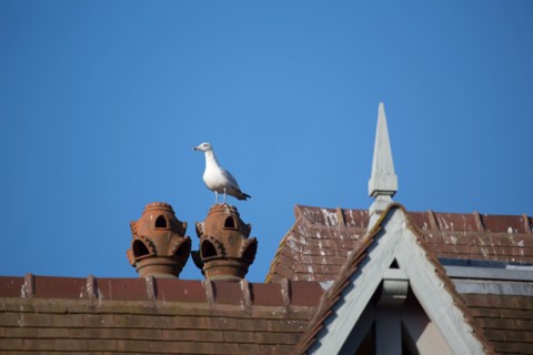Deauville hors saison
