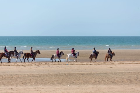 Villers-sur-Mer, chevaux et poneys sur la plage