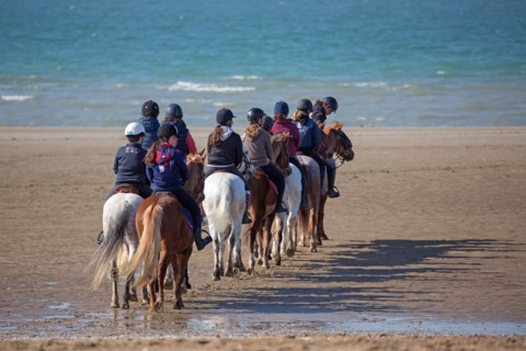 Villers-sur-Mer, chevaux et poneys sur la plage