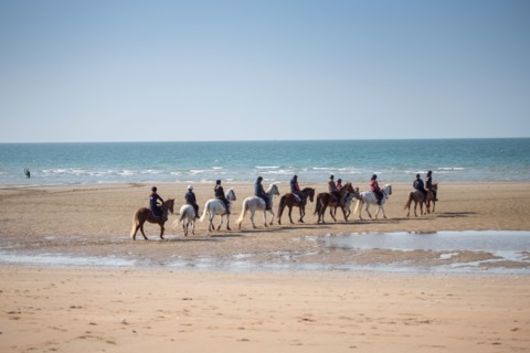 Villers-sur-Mer, chevaux et poneys sur la plage