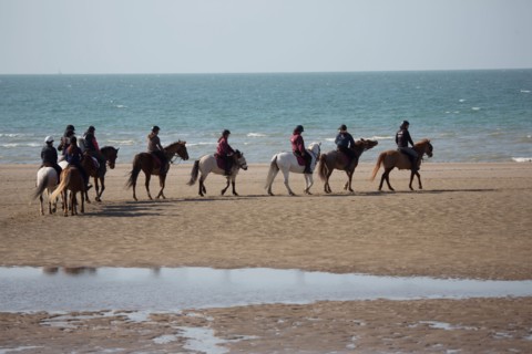 Villers-sur-Mer, chevaux et poneys sur la plage