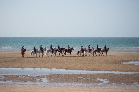 Villers-sur-Mer, chevaux et poneys sur la plage