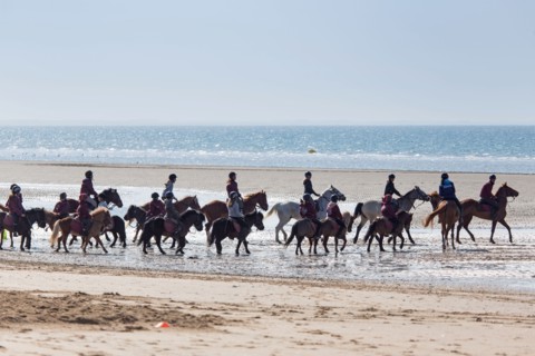 Villers-sur-Mer, chevaux et poneys sur la plage