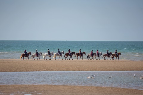 Villers-sur-Mer, chevaux et poneys sur la plage