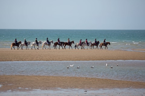 Villers-sur-Mer, chevaux et poneys sur la plage