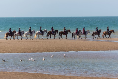 Villers-sur-Mer, chevaux et poneys sur la plage