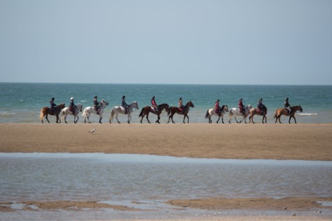 Villers-sur-Mer, chevaux et poneys sur la plage