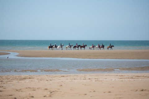 Villers-sur-Mer, chevaux et poneys sur la plage