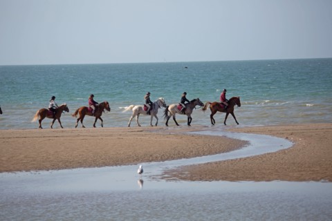 Villers-sur-Mer, chevaux et poneys sur la plage