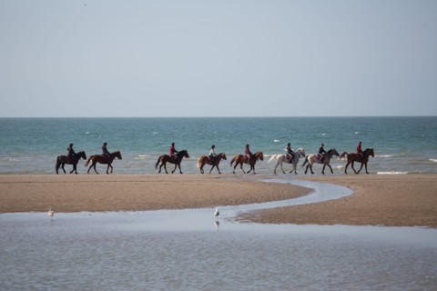 Villers-sur-Mer, chevaux et poneys sur la plage