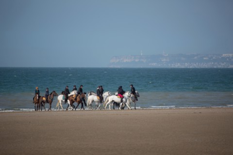 Villers-sur-Mer, chevaux et poneys sur la plage