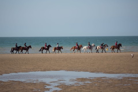 Villers-sur-Mer, chevaux et poneys sur la plage