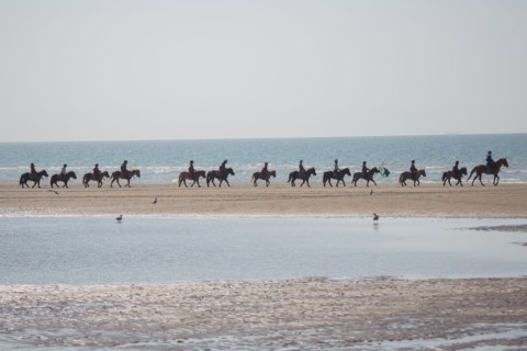 Villers-sur-Mer, chevaux et poneys sur la plage