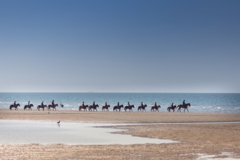 Villers-sur-Mer, chevaux et poneys sur la plage