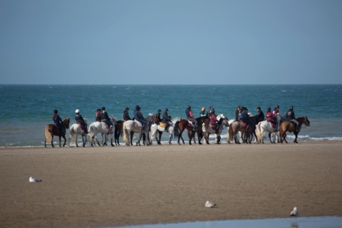 Villers-sur-Mer, chevaux et poneys sur la plage