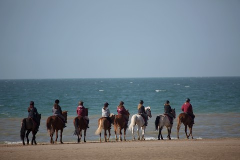 Villers-sur-Mer, chevaux et poneys sur la plage