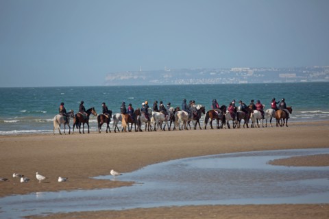 Villers-sur-Mer, chevaux et poneys sur la plage