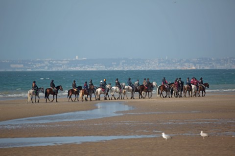 Villers-sur-Mer, chevaux et poneys sur la plage