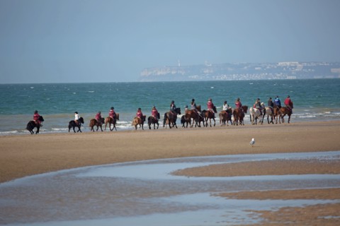 Villers-sur-Mer, chevaux et poneys sur la plage