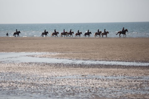 Villers-sur-Mer, chevaux et poneys sur la plage