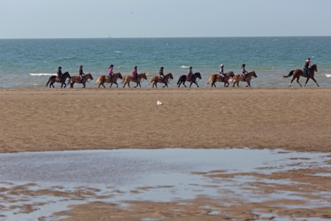 Villers-sur-Mer, chevaux et poneys sur la plage