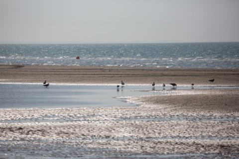 Villers-sur-Mer, villas du front de mer