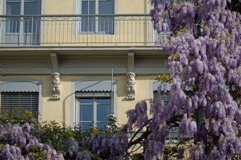 Lyon, Montee des Carmelites
